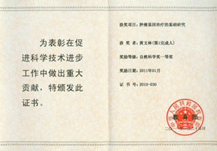 自然科學(xué)獎一等獎