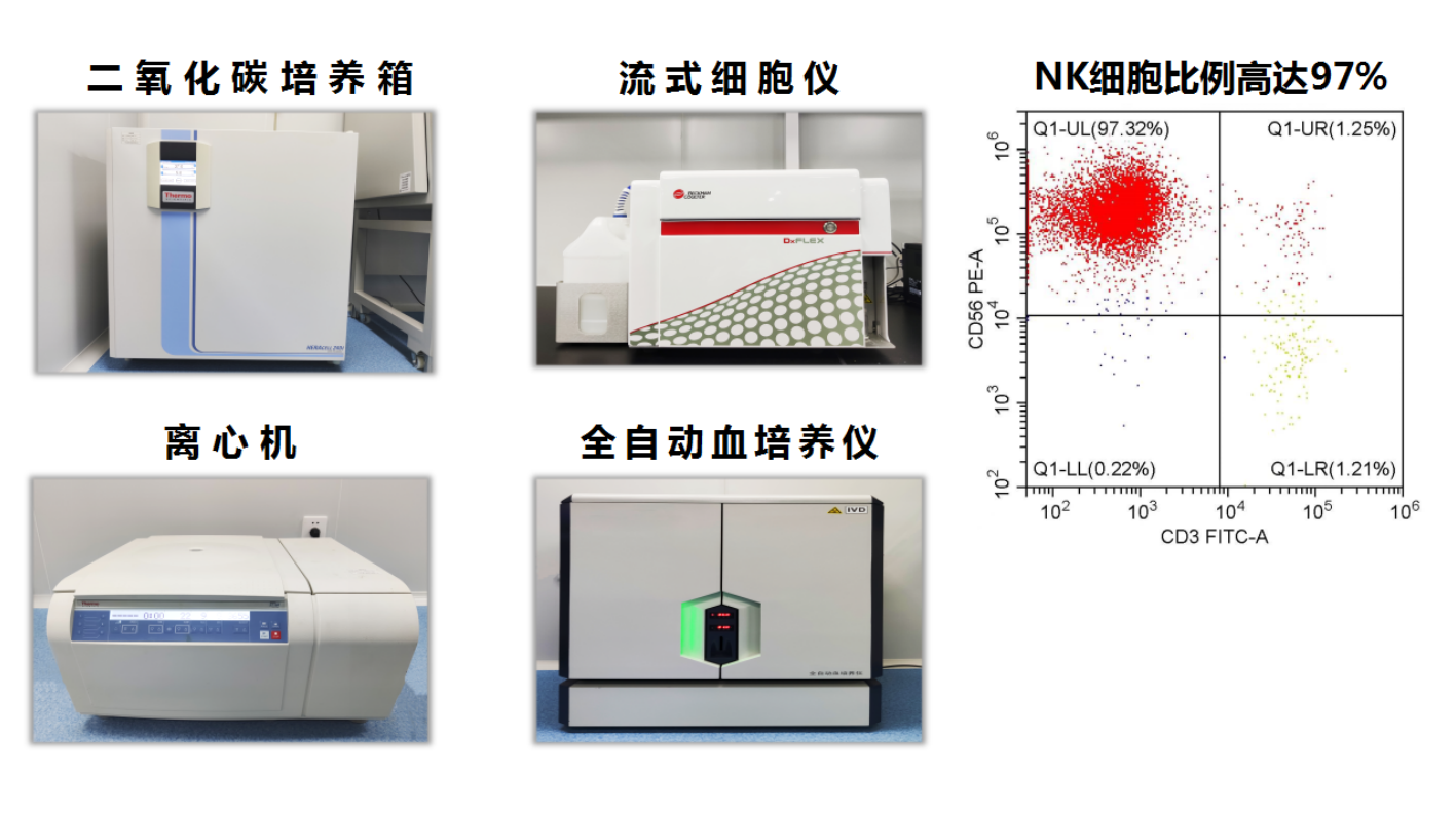 免疫細胞技術(shù)平臺