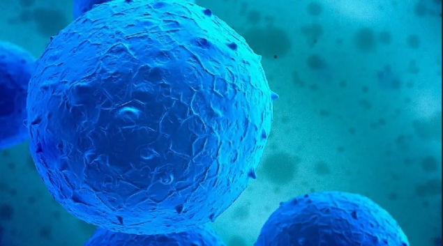 達(dá)博生物人臍帶間充質(zhì)干細(xì)胞Ⅰ期臨床研究啟動會順利召開！